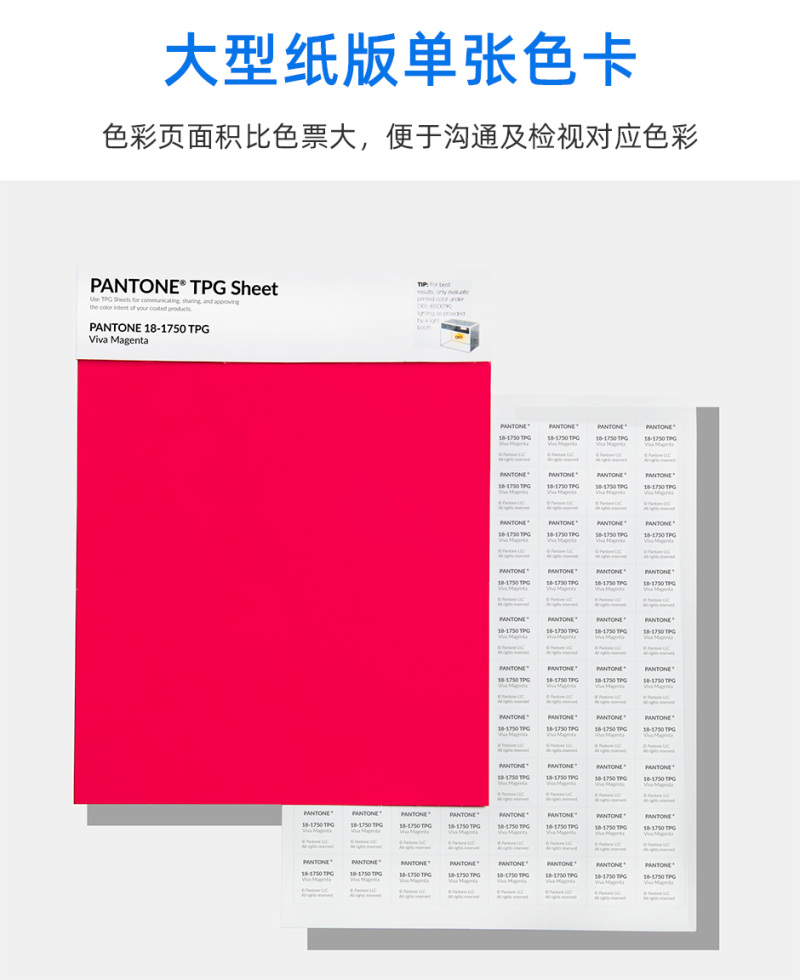 TPG-SHEETS_04.jpg