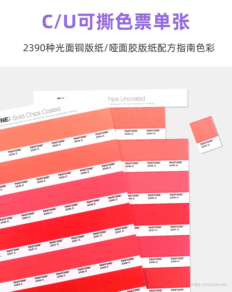 PA-C_05.jpg?x-oss-process=style/w800_webp