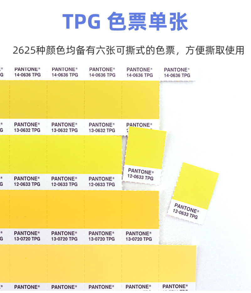 PA-TPG_03.jpg